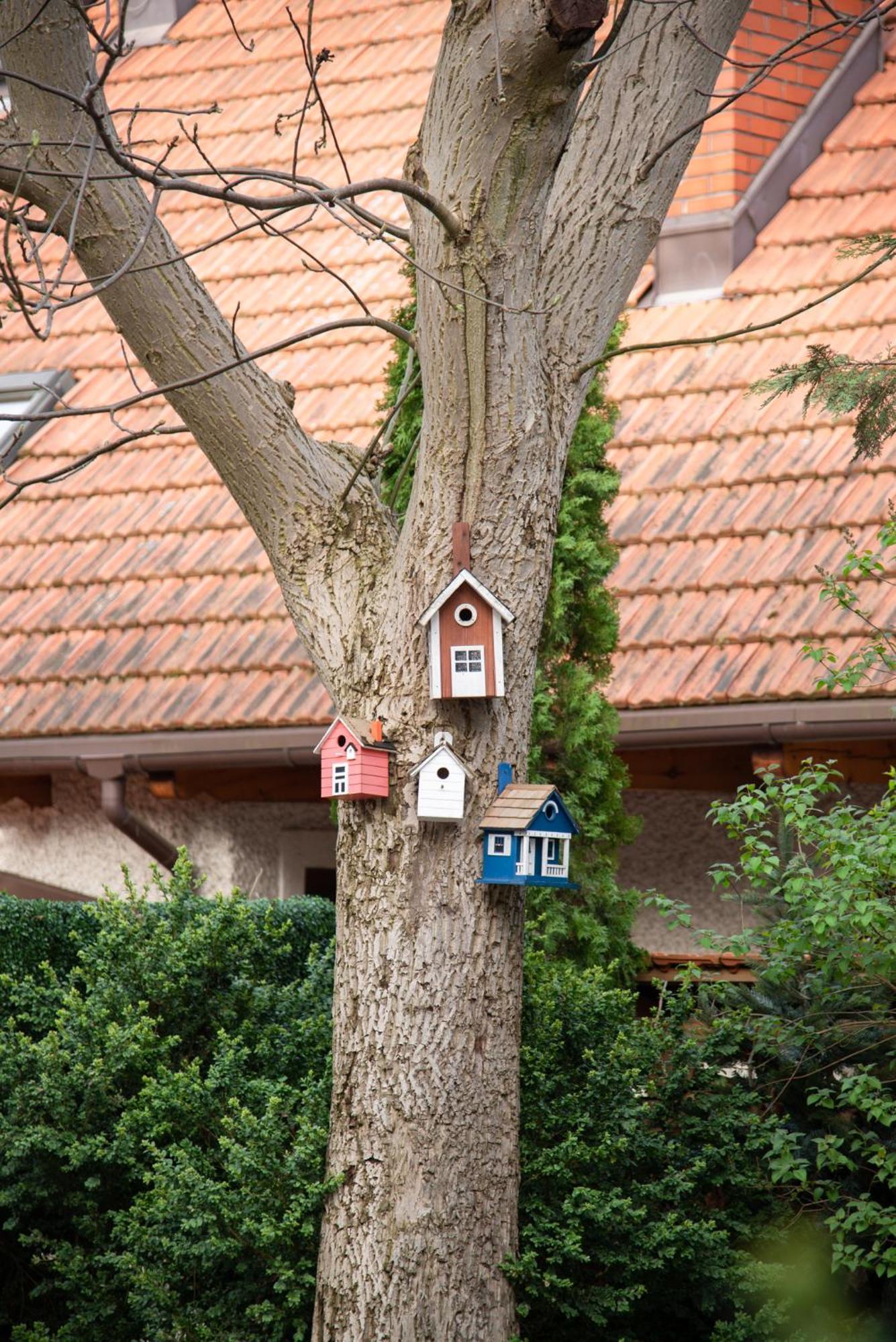 Villa Julius Sopot Buitenkant foto
